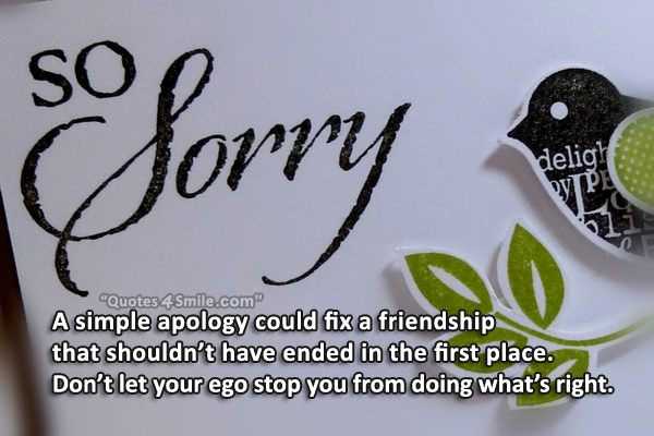 A simple apology could fix a friendship that shouldn't have ended in the first place. Don't let your pride stop you from doing what's right. -Sonya Parker.