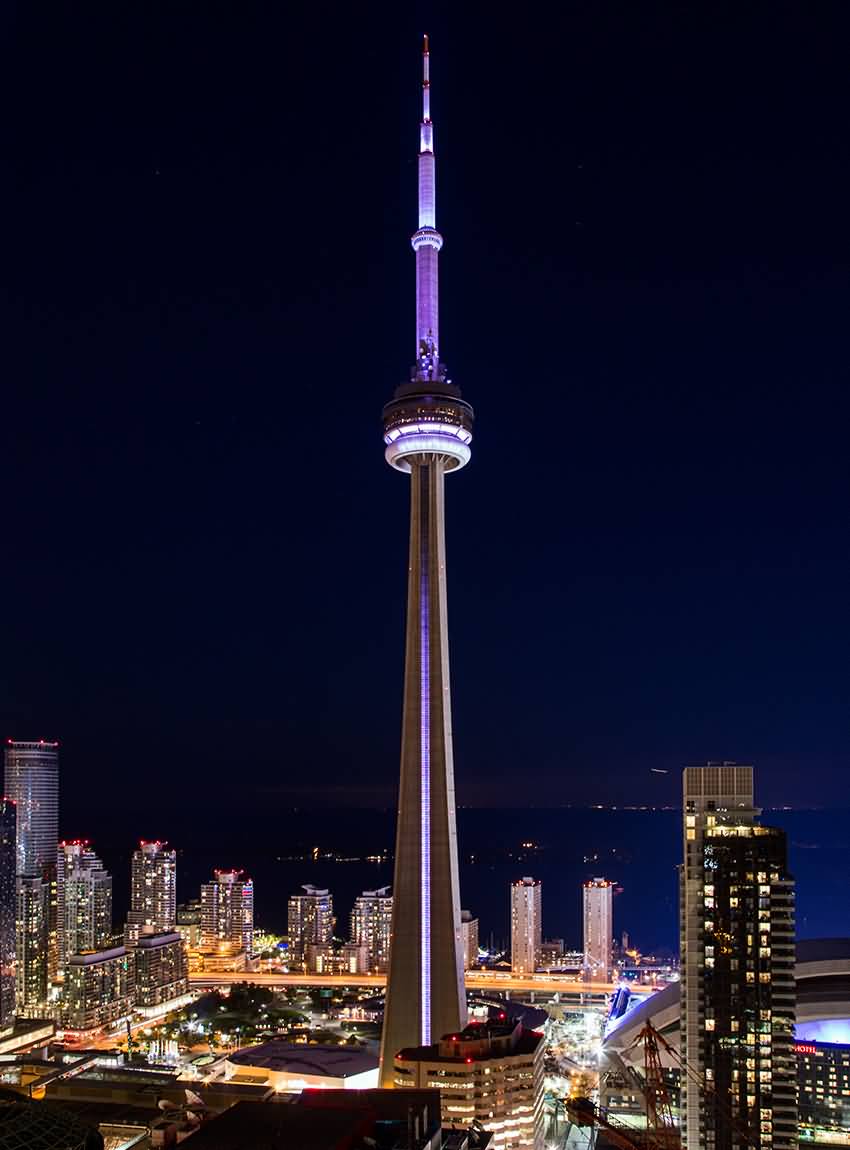 Adorable Night View Of CN Tower