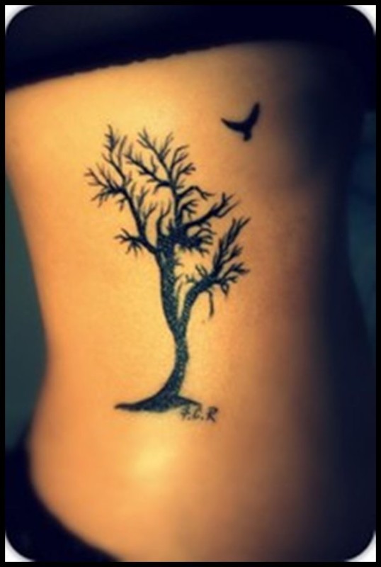 Bird With Tree Rib Cage Tattoo For Woman
