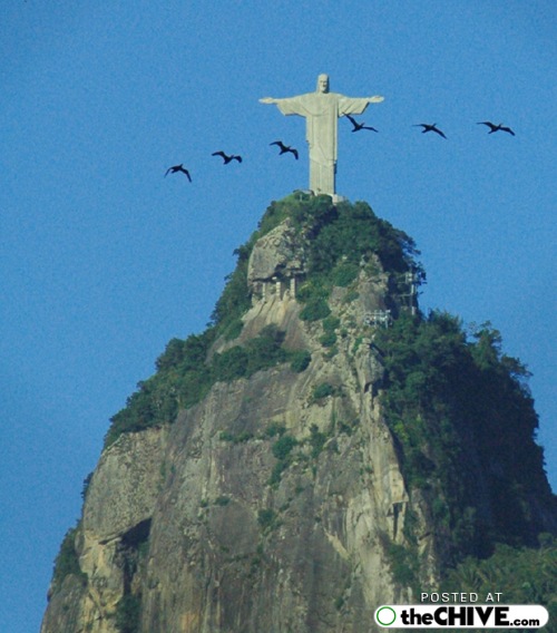 Birds Flying In Front Of Christ The Redeemer Statue On The Top Of Corcovado Mountain