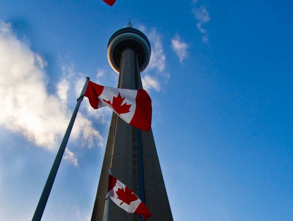 CN Tower And Canadian Flags Picture