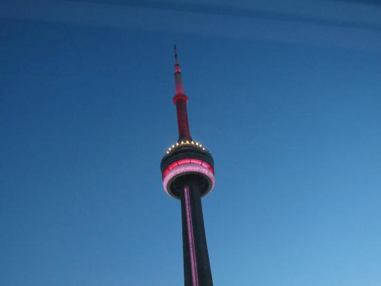 CN Tower During Night Picture