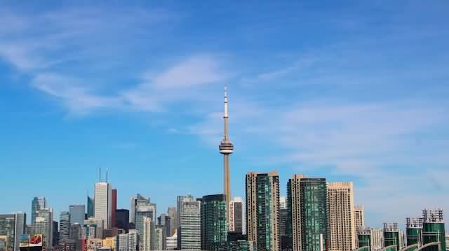 CN Tower View From BMO Field Toronto