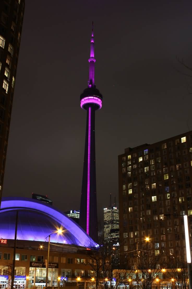 CN Tower With Night Lights