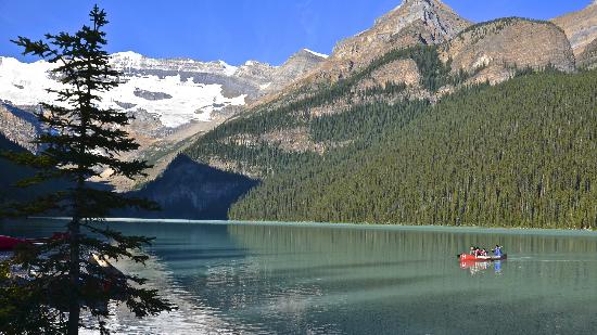 Cannoy In Lake Louise Picture