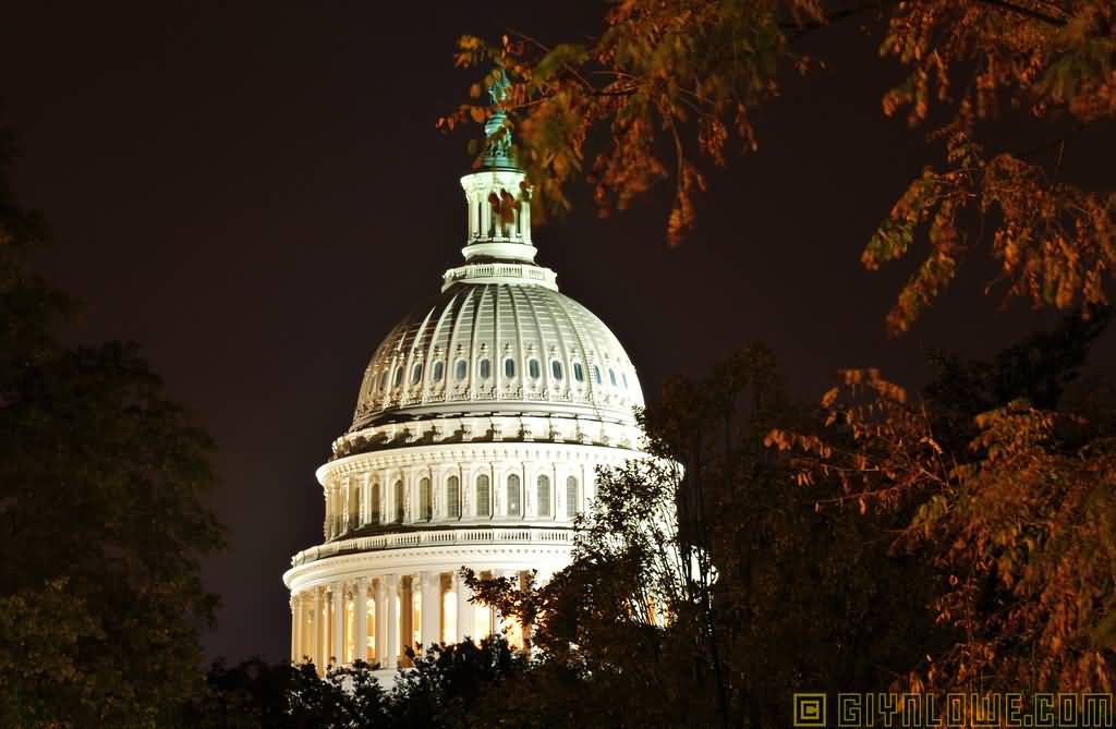 Dome Of United States Capitol Lit Up At Night