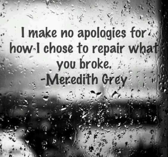 I make no apologies for how I chose to repair what you broke. - Meredith Grey
