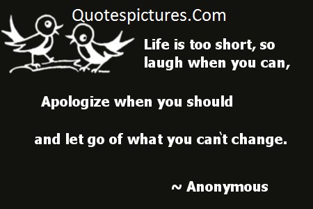 Life Is Too Short So Laugh When You Can Apologize When You Should And Let Go Of What You Can't Change.