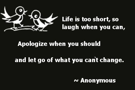 Life is too short, grudges are a waste of perfect happiness, laugh when you can, apologize when you should and let go of what you can't change.