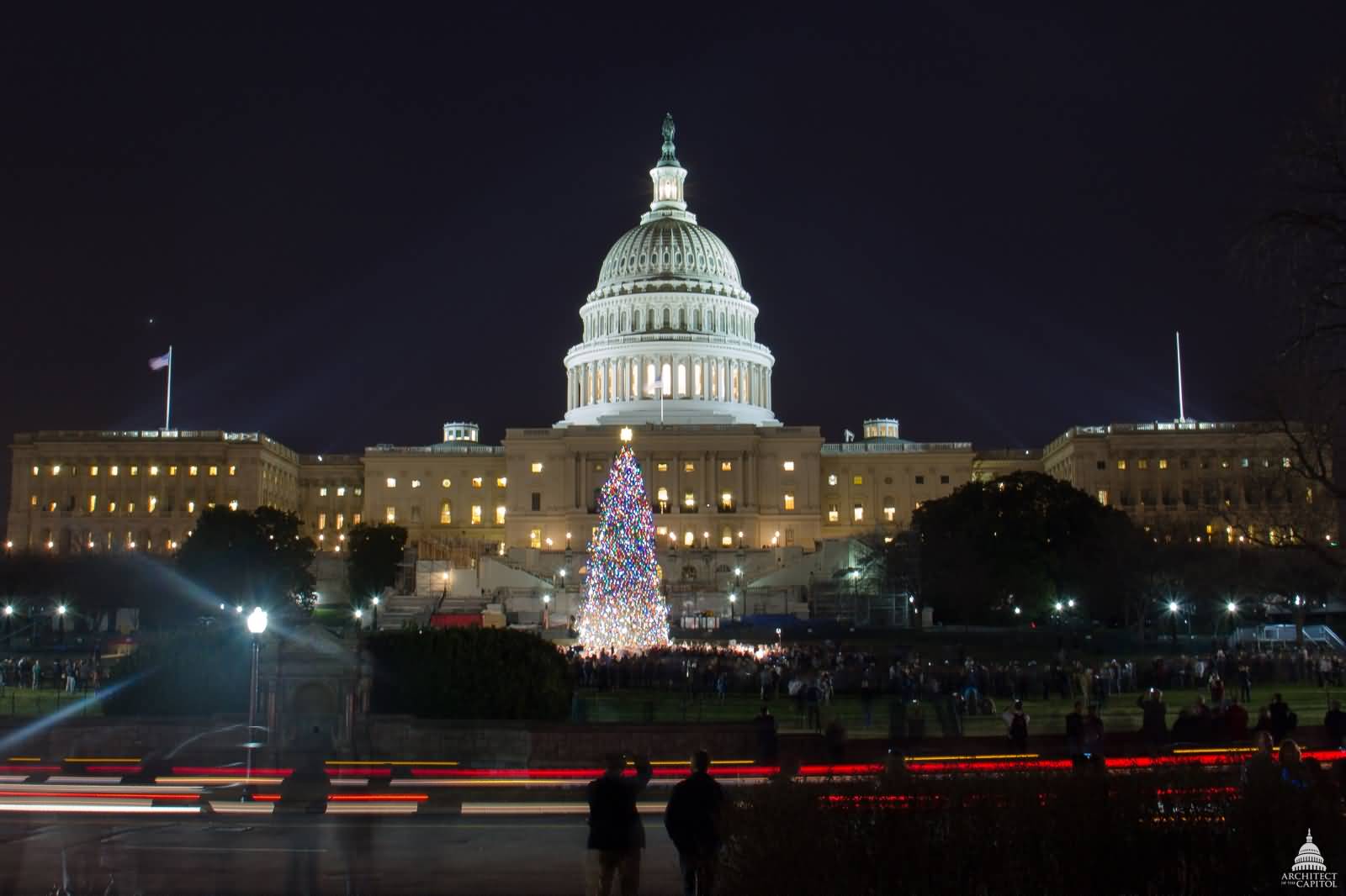 Lighting Christmas Tree In Front Of United States Capitol