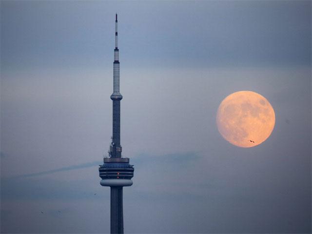 Red Moon Near The CN Tower