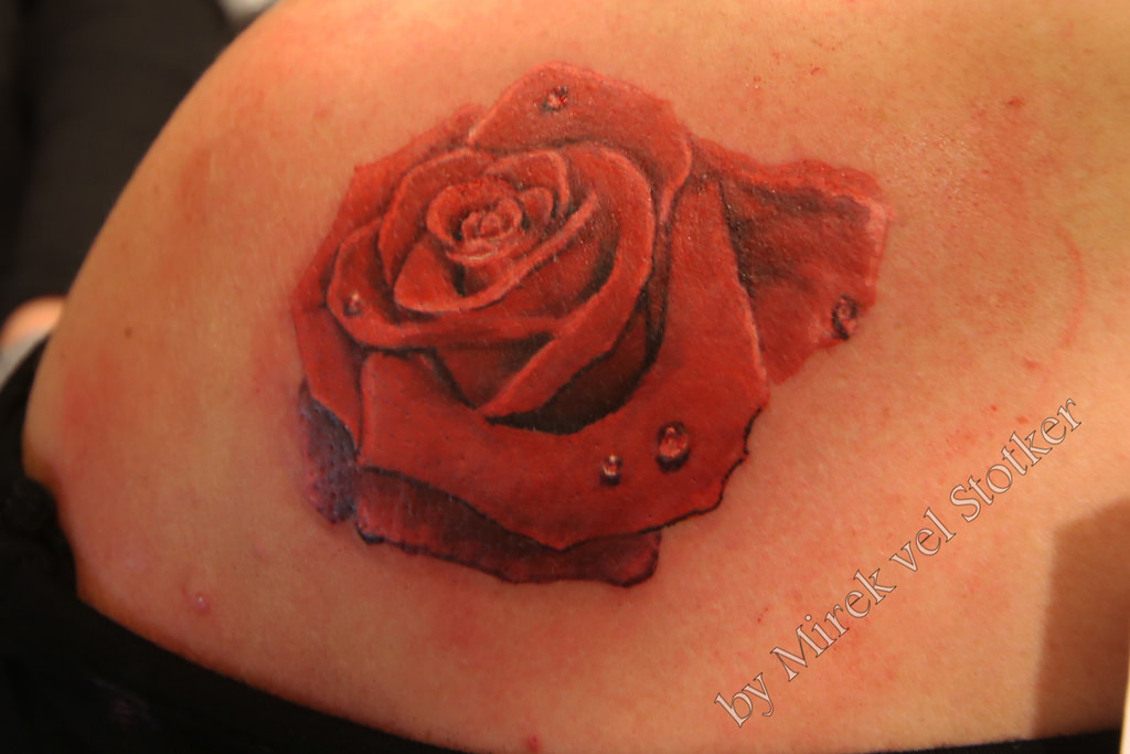 Rose With Water Drop Tattoo By Mirek Vel Stotker