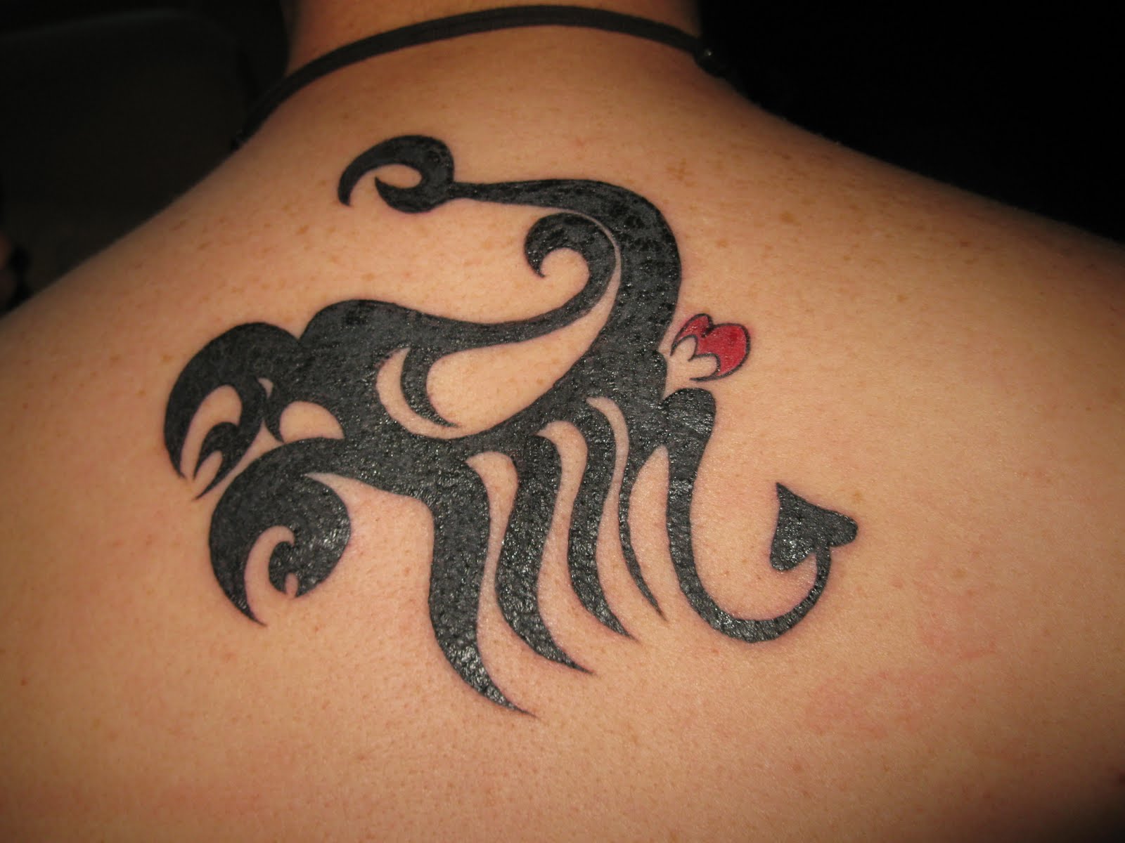 Scorpio Symbol Tattoo On Upper Back