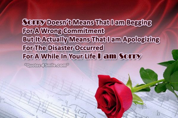 Sorry Doesn’t Means That I am Begging For A Wrong Commitment But It Actually Means That I am Apologizing For The Disaster Occurred For A While In Your Life I AM Sorry.
