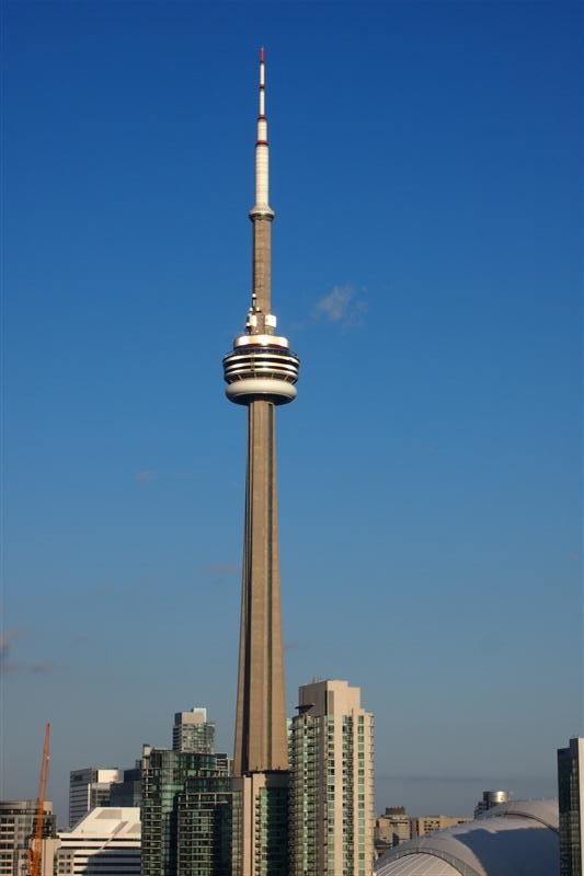 The Best View Of The CN Tower