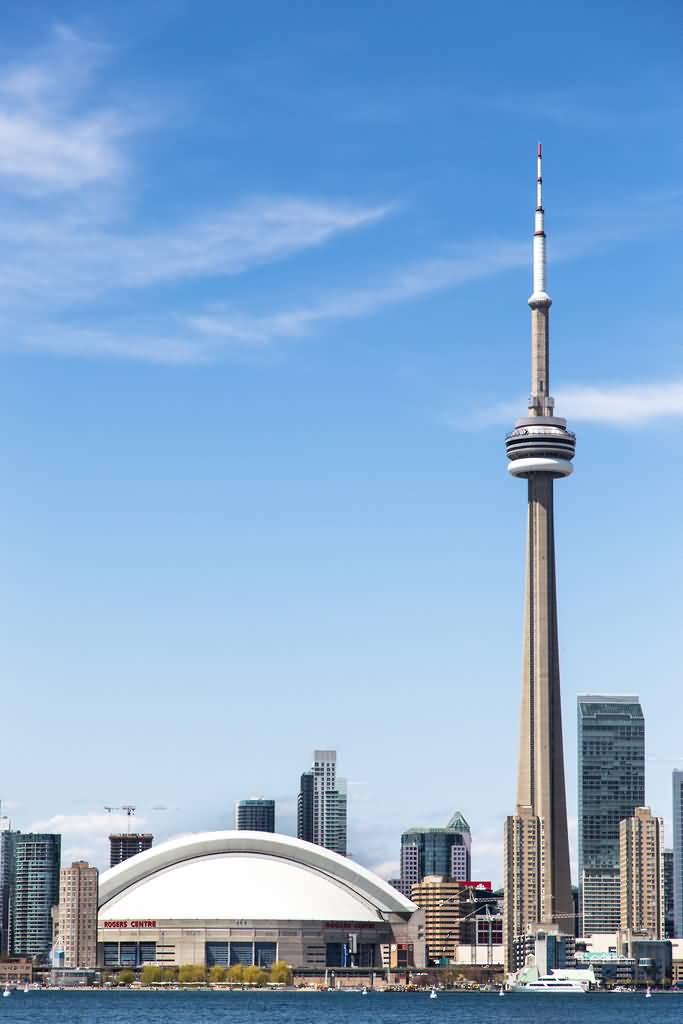 The CN Tower In Ontario Picture