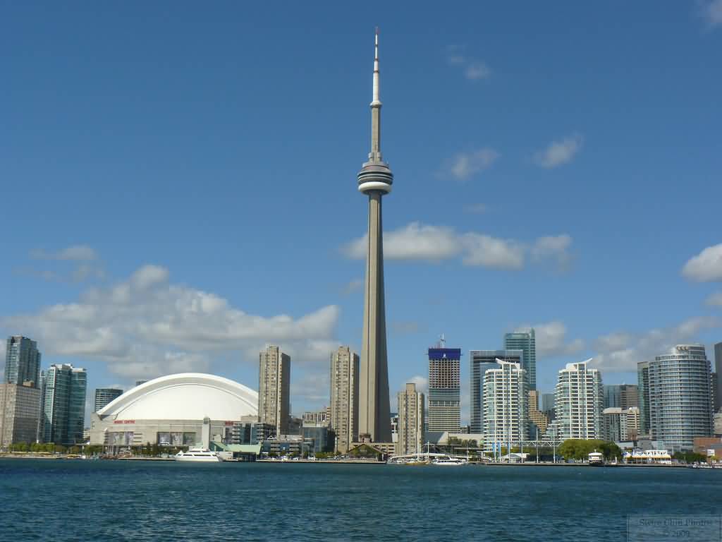 The CN Tower View Across The Ontario River Picture