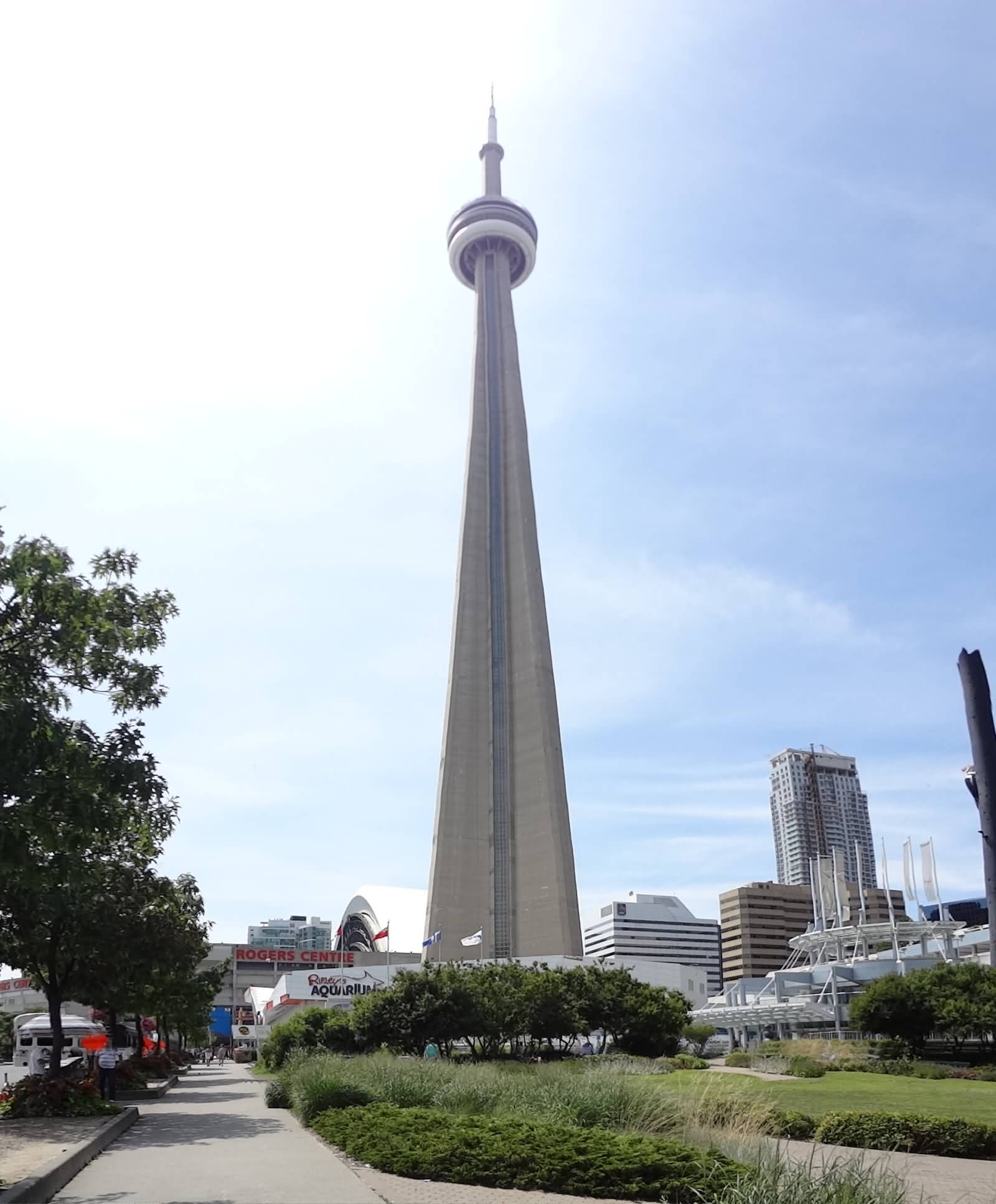 The CN Tower View