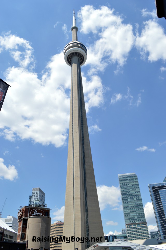 The CN Tower View