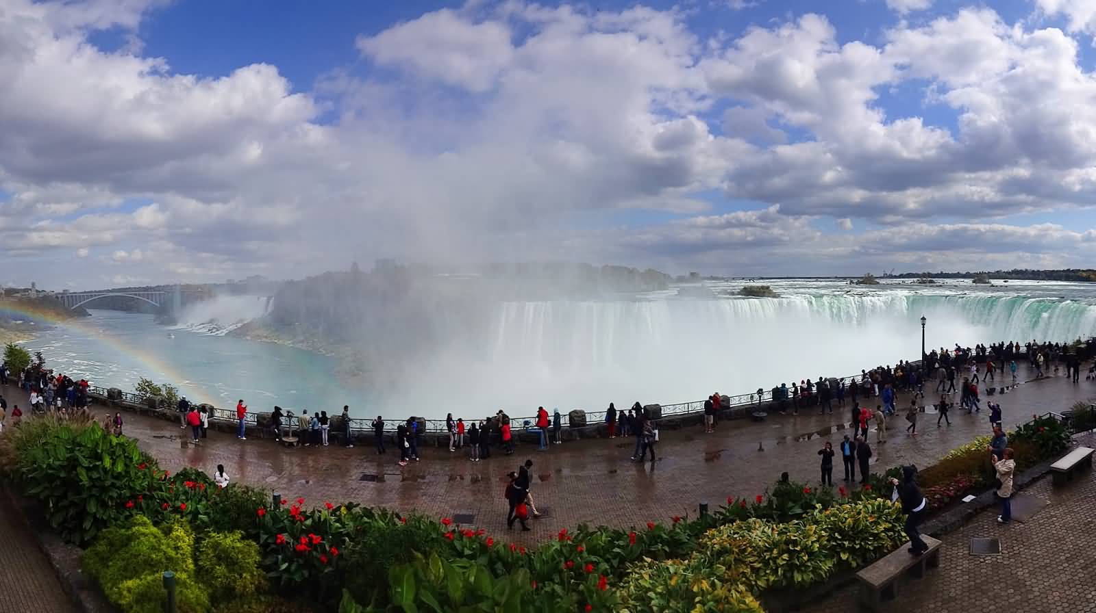 The Niagara Falls Picture