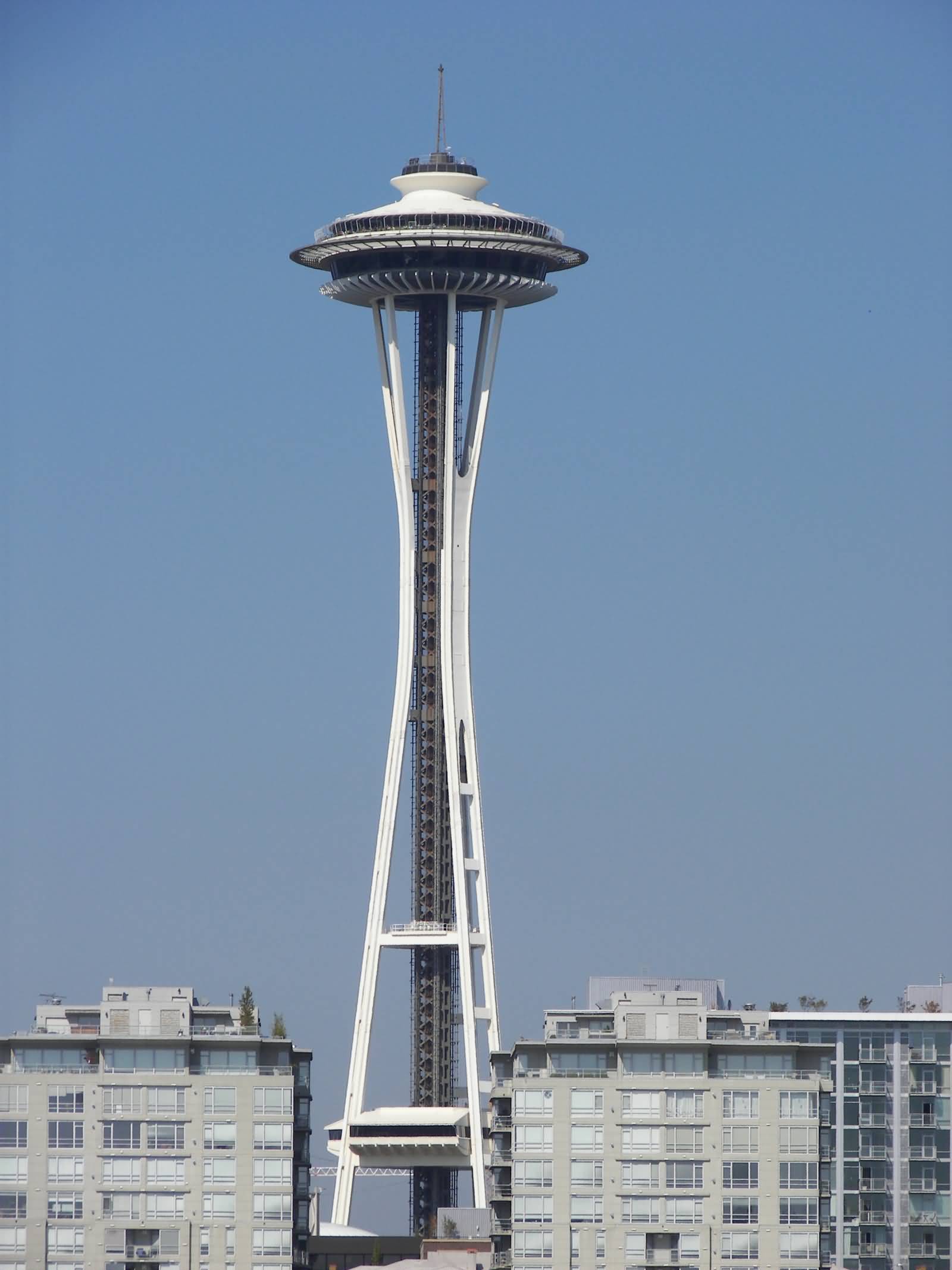 The Space Needle Tower Picture
