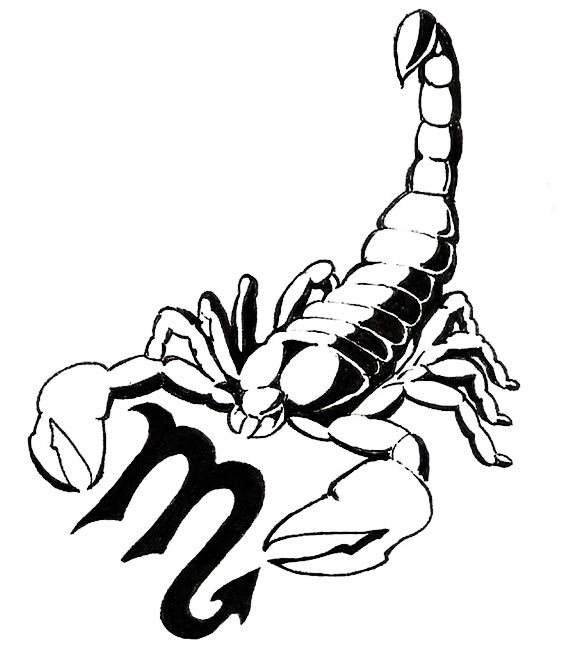 Zodiac Scorpio And Scorpion Tattoo Design