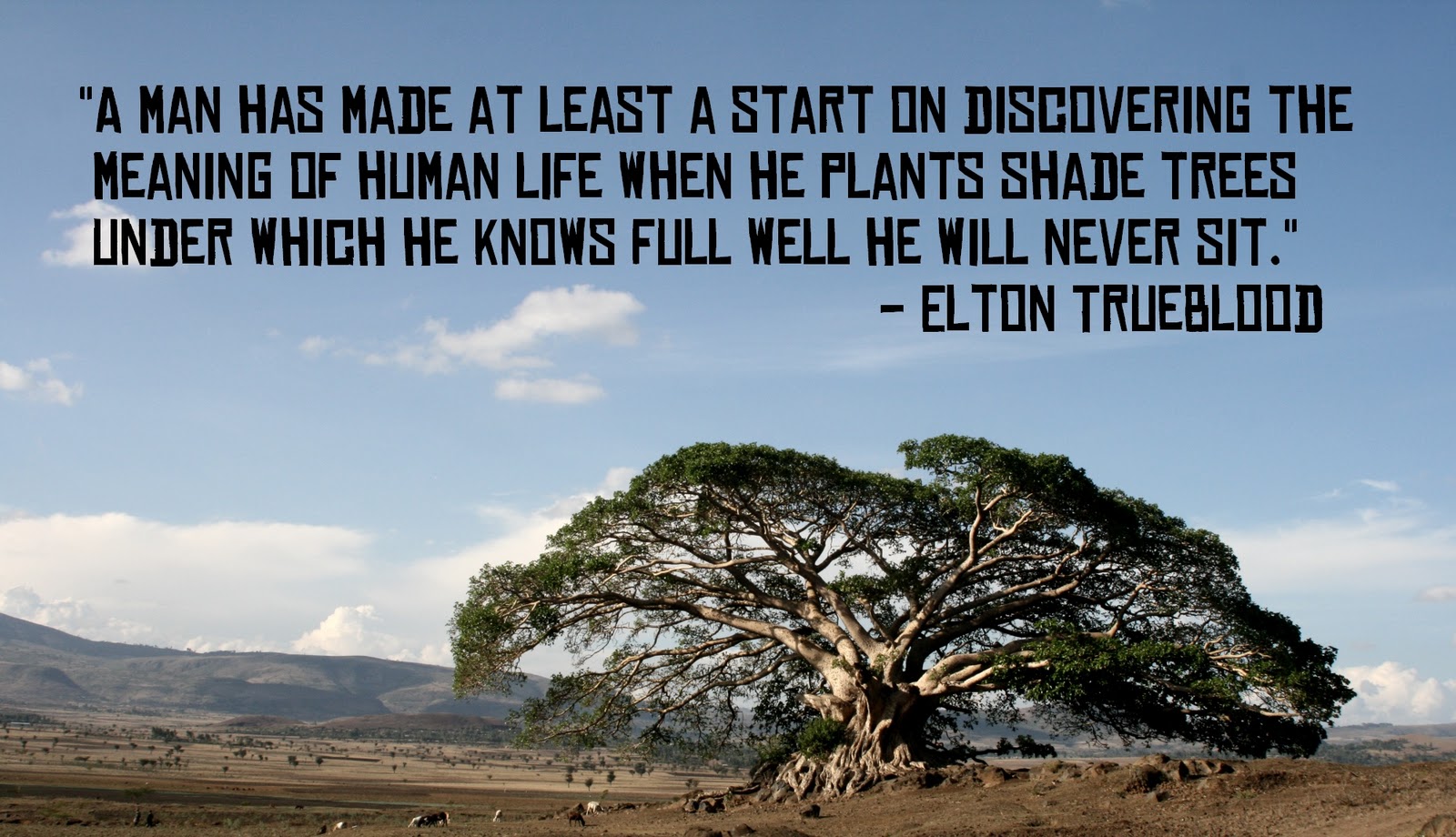A man has made at least a start on discovering the meaning of human life when he plants shade trees under which he knows full Elton Trueblood