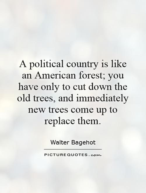 A political country is like an American forest_ you have  only to cut down the old trees, and immediately new trees  come up to replace them - Walter Bagehot