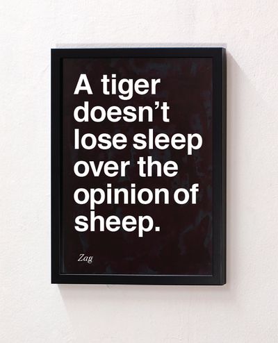 A tiger doesn;t lose sleep over the opinion of sheep. Shahir Zag