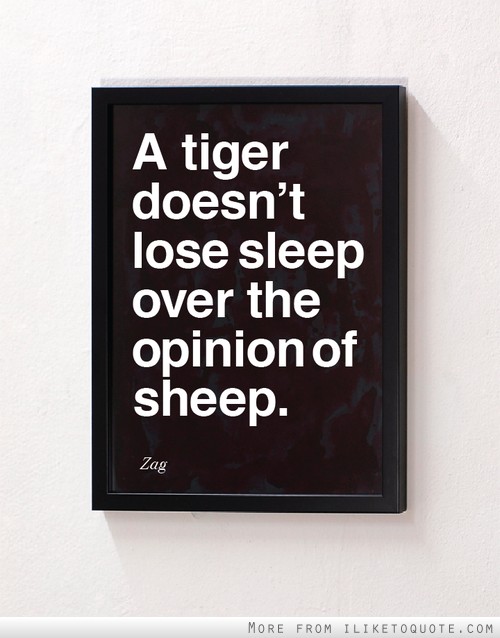 A tiger doesn't lose sleep over the opinion of sheep. Zag