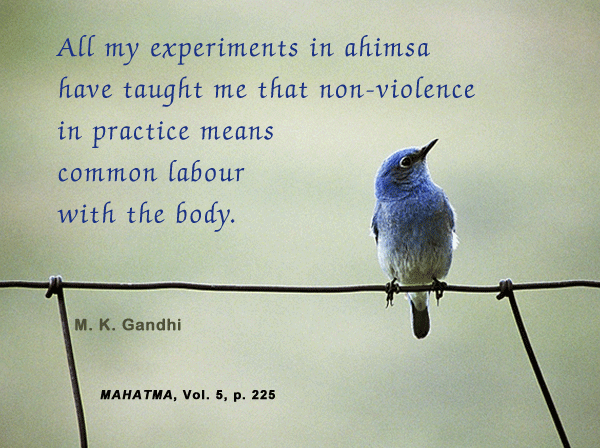 All my experiments in Ahimsa have taught me that nonviolence in practice means common labour with the body.  Mahatma Gandhi