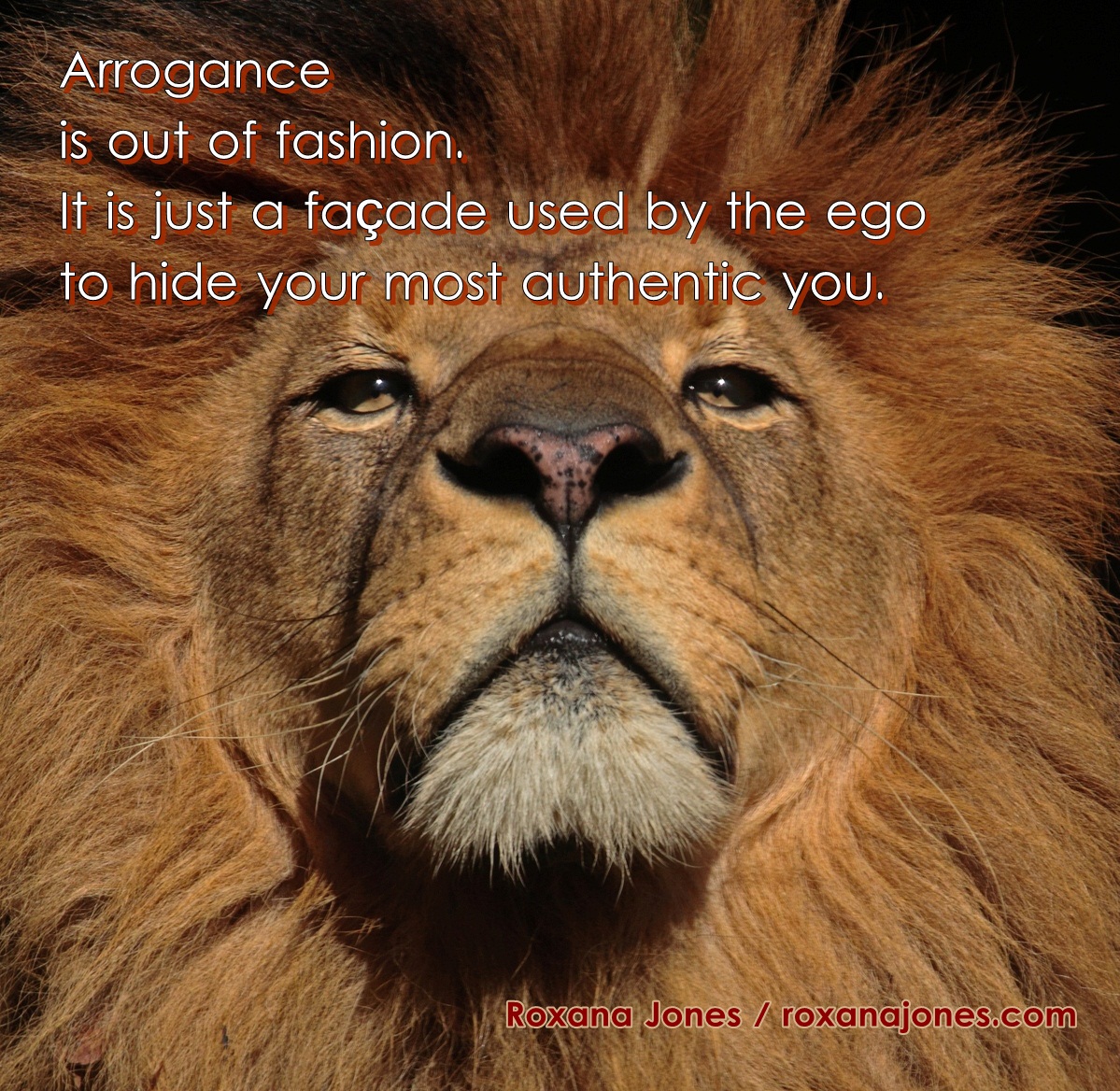 Arrogance is out of fashion, it is just a façade used by the ego to hide your most authentic you. Roxana Jones