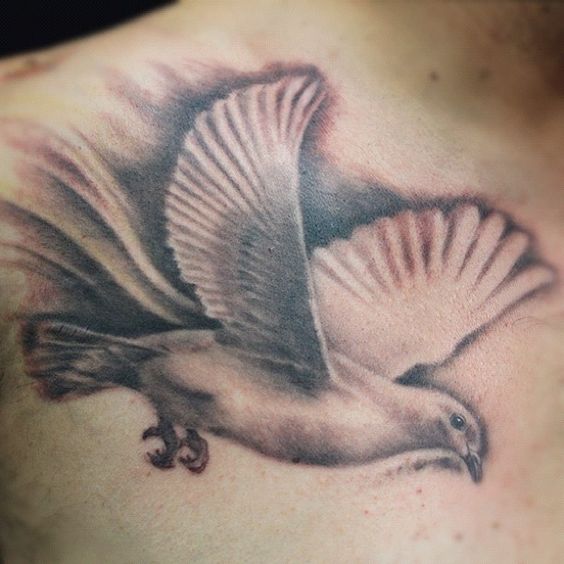 Awesome Flying Dove Tattoo On Chest