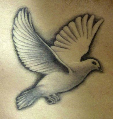 Awesome Flying Realistic Dove Tattoo