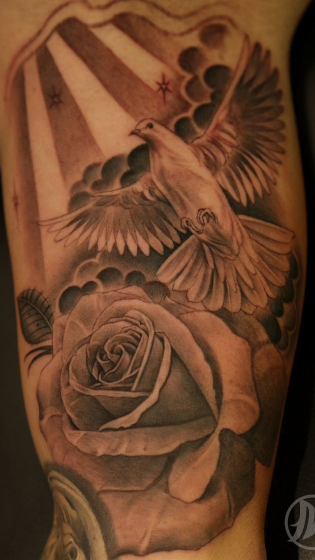 Awesome Grey Rose Flower And Flying Dove Tattoo