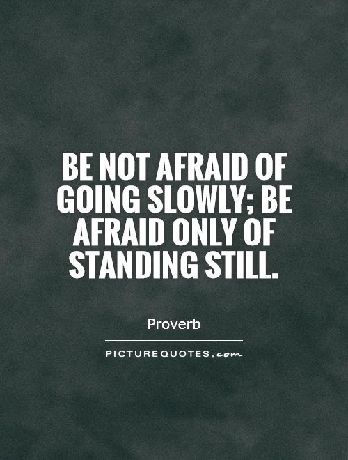 Be not afraid of going slowly; be afraid only of standing still