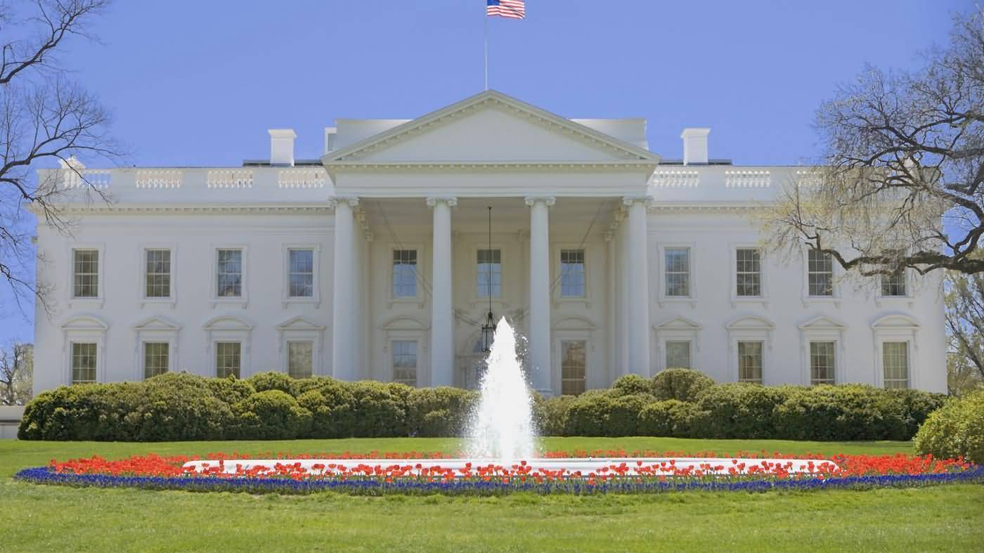 Beautiful White House Picture