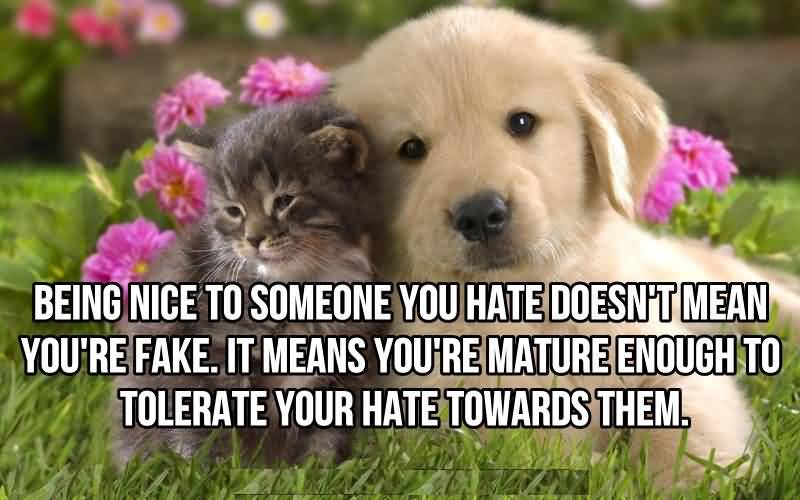 Being nice to someone you dislike doesn't mean you're a fake. It means you are mature enough to tolerate your dislike towards them