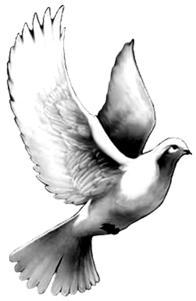 Black And Grey Flying Dove Tattoo Design