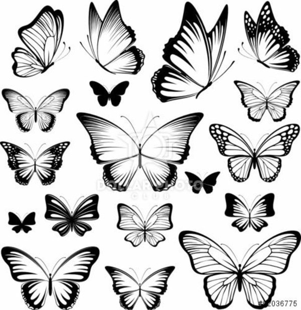 Black And White Butterfly Tattoos Design
