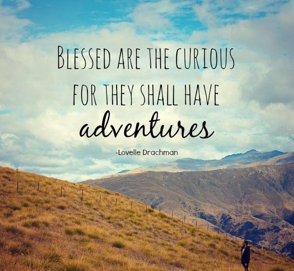 Blessed are the curious, for they shall have adventures - Lovelle Drachman