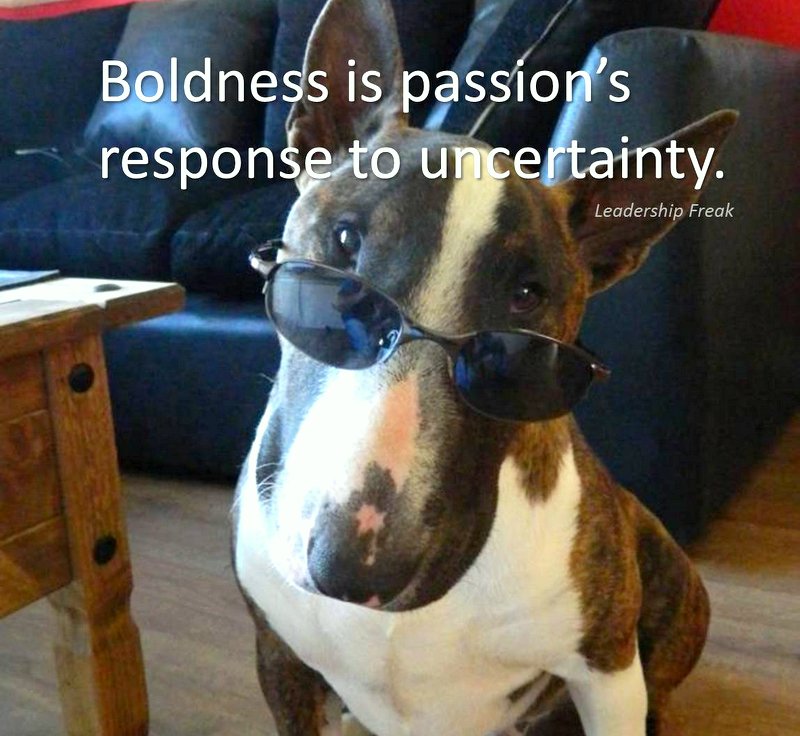 Boldness is passion's response to uncertainity. Leadership Freak