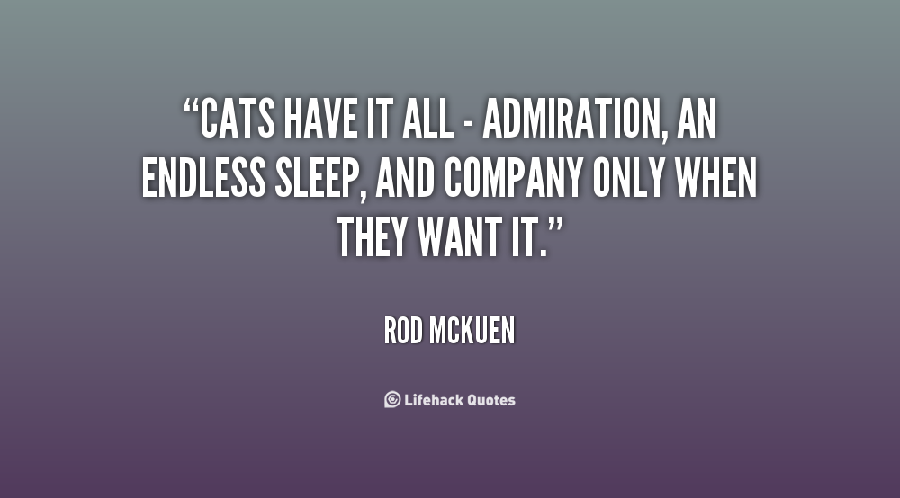 Cats have it all - admiration, an endless sleep, and company only when they want it - Rod McKuen