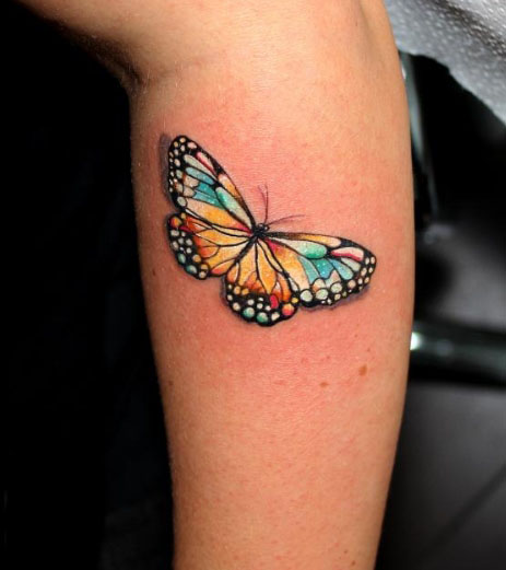 Colorful 3D Butterfly Tattoo On Arm