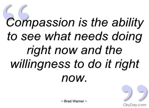 Compassion Is The Ability To See What Needs Doing Right Now And The Willingness To Do... Brad Warner