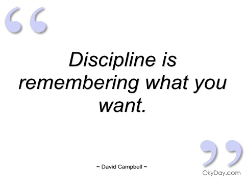 Discipline is remembering what you want. David Campbell