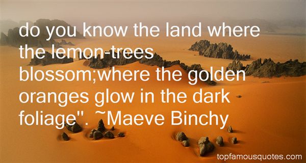Do you know the land where the lemon-trees blossom,where  the golden oranges glow in the dark foliage - Maeve  Binchy