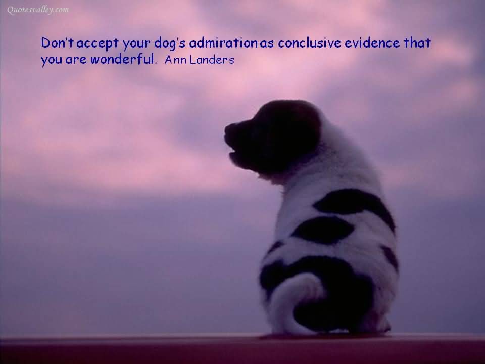 Don't accept your dog's admiration as conclusive evidence that you are wonderful - Ann Landers