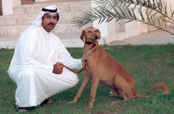 Emirati Man With His Saluki Dog