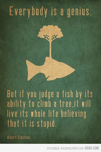 Everybody is a Genius. But If You Judge a Fish by Its Ability to Climb a Tree, It Will Live Its Whole Life Believing that It is Stupid. Albert Einstein